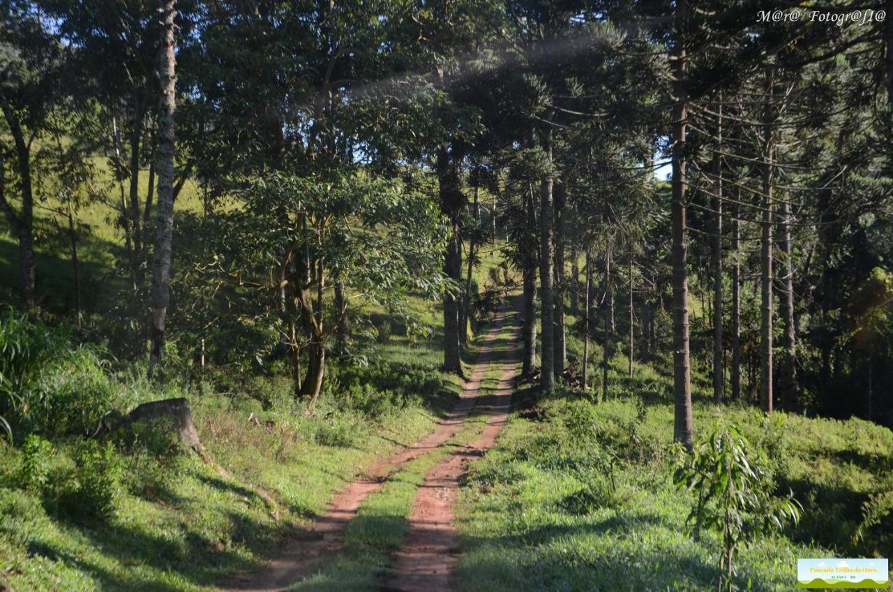 Pousada Trilha Do Ouro Alagoa Mg Buitenkant foto